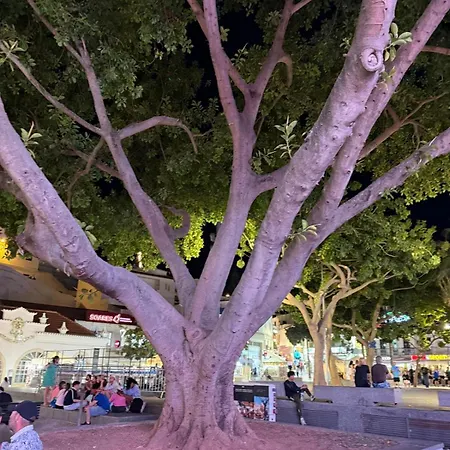 Apartment The Downtown Albufeira