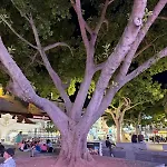 Apartamento The Downtown Albufeira