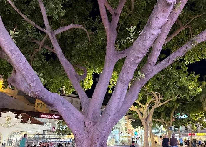 شقة The Downtown البوفيرا